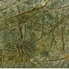Rain Forest Green