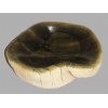 Bowl Serpentine