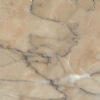 Tiger Beige