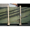 Verde Bamboo