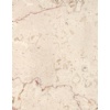 Shell Beige