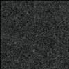 G654