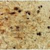 Cream Gold granite