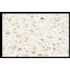 YDL 3001 Silver Star White
