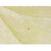 Beauharnais French Limestone, Beauharnais Beige