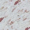 Various Imported Granites such as Black Galaxy