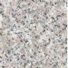 Salmon Grey granite