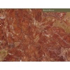 Breccia Pernice