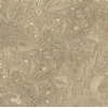 Fossil Limestone