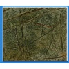 Rain Forest Green Marble