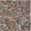 Pink Gia Lai