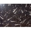 Black Fossil