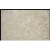 Shells Stone Beige Limestone