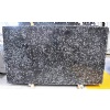 Sea shell flower slab