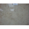 Polished Honed Limestone Shell Tile 24x24