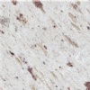Galaxy White Granite