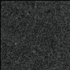 Granite tile G654 Granite