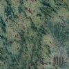 Tropical Green (18 x 18)