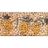 Stone Paintings