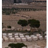 Lumaquela Rosa Quarry - Block