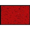 YDL 3005 Silver Star Red
