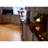 Anitque Labrador Granite Kitchen Top