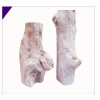 PETRIFIED WOOD COLLECTION