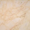 Golden Spider Marble