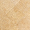 Seashell Limestone