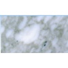 White Brouille marble
