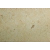 Coral Fossil Honed Limestone