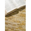 Golden Tumbled (Travertine) Mosaic