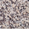 Rosa Moncao Granite - Polished