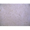 Sahara Beige ME25