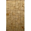 Enmeshed Coralina Gold Coral Stone Mosaic