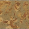 Golden Desert