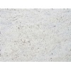Kashmir White granite tile