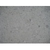 Corel Green