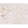 Caribbean Blond Stone - Brushed