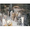 Wood Fossil Natural Stone