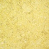 Sunny Oro