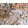 Forest Brown Marble
