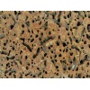 Bee Nest Basalt