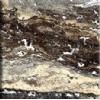 Snake Skin Travertine