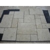 Shells Stone Beige Limestone Pattern