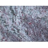 Vizag Blue granite