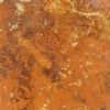 Rich Autumn