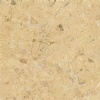 Isis Fossil