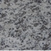 G359 white granite