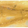 Giallo Siena marble